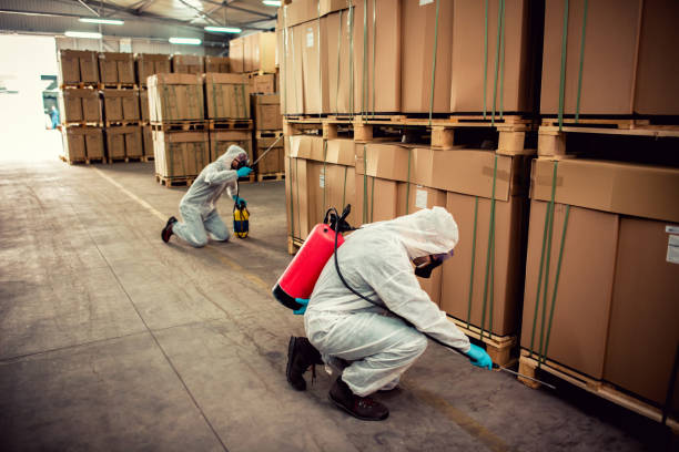 Best Emergency Pest Control  in Holiday Island, AR