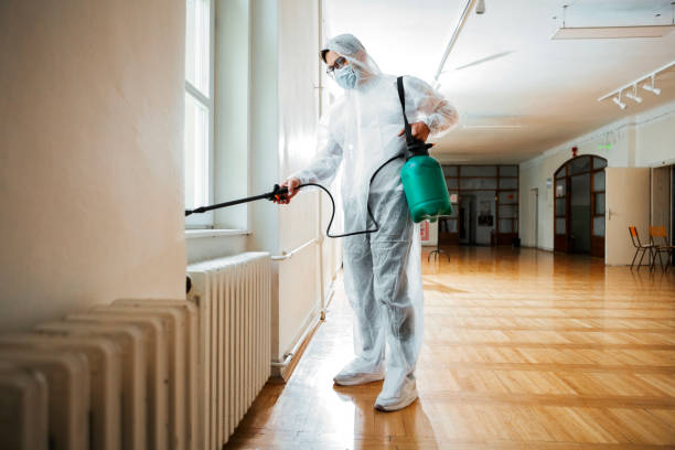 Best Pest Prevention Services  in Holiday Island, AR