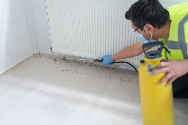Best Pest Control for Businesses  in Holiday Island, AR